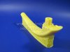 Plastic_Prototip_0628