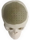 3D печать. Искусственный череп.